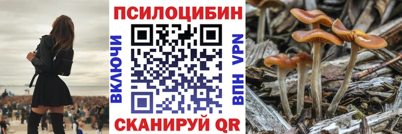 Псилоцибиновые грибы прущие грибы  где купить наркотик  Фатеж 
